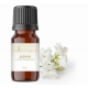Jazminų kvapusis aliejus 12 ml "Aromatique"