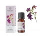 Antitabako kvapusis aliejus 12 ml "Aromatique"