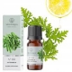 Citronela kvapusis aliejus 12 ml "Aromatique"08