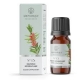 Arbatmedžio kvapusis aliejus 12 ml "Aromatique"