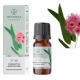 Eukaliptų kvapusis aliejus 12 ml "Aromatique"