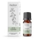 Čiobrelio(Thymus zygis L) eterinis aliejus 10 ml "Aromatique"