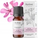 Pelargonijų eterinis aliejus 10 ml "Aromatique"
