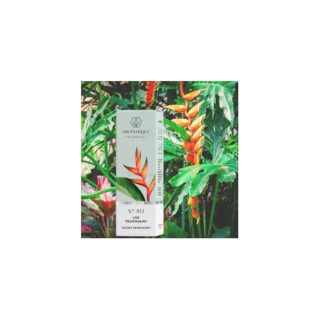 Tropinių miškų kvapnusis aliejus 12 ml "Aromatique"
