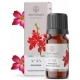 Orchidėjų kvapnusis aliejus 12 ml "Aromatique"