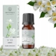 Jazminų kvapusis aliejus 12 ml "Aromatique"