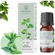 Pipirmėčių kvapusis aliejus 12 ml "Aromatique"