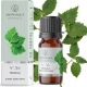 Pačiulių kvapusis aliejus 12 ml "Aromatique"