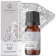 Sidabro dvasia kvapusis aliejus 12 ml "Aromatique"Nr.64