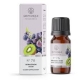 Vynuogių ir kivi kvapusis aliejus 12 ml "Aromatique"Nr.78