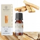 Palo Santo kvapusis aliejus 12 ml "Aromatique"Nr.84