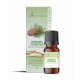 Kedrų kvapusis aliejus 12 ml "Aromatique"