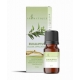 Eukaliptų kvapusis aliejus 12 ml "Aromatique"