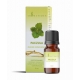 Pačiulių kvapusis aliejus 12 ml "Aromatique"