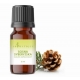 Sibiro pušų kvapusis aliejus 12 ml "Aromatique"