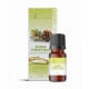 Sibiro pušų kvapusis aliejus 12 ml "Aromatique"