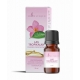 Tropinių miškų kvapnusis aliejus 12 ml "Aromatique"